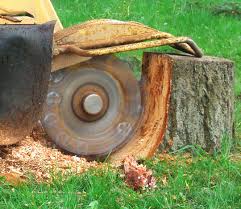 Image for A2B Tree Services with ID of: 1946071