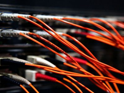 Image for Blue Fox Group with ID of: 1946124