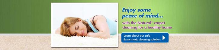 Image for Chem-Dry Clean and Green with ID of: 1947195