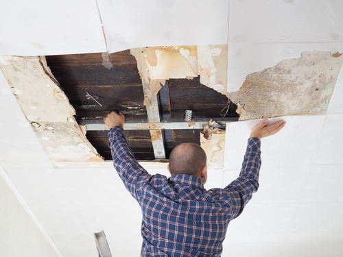 Image for Gilmore Carpet Cleaning Service with ID of: 1947629