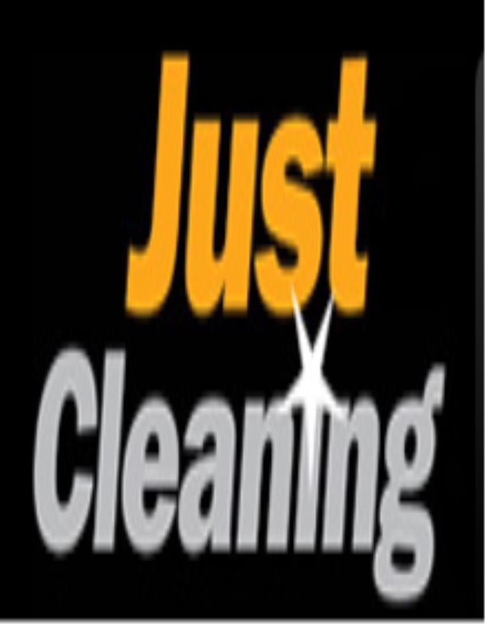 Image for Just Cleaning with ID of: 1948532