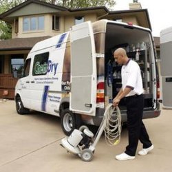 Image for Standard Carpet Cleaning with ID of: 1949640