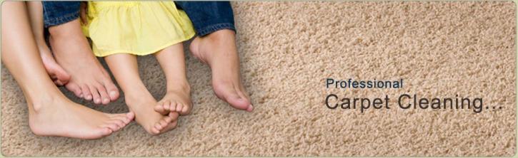 Image for Stevenson Carpet Cleaning with ID of: 1950121