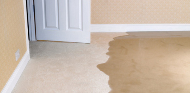 Image for Stevenson Carpet Cleaning with ID of: 1950127