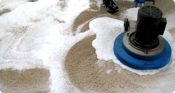 Image for Perez Carpet Cleaning with ID of: 1951320
