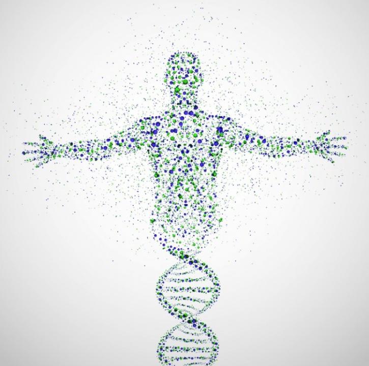 Image for Human Microbiome Market - Industry Analysis, Size, Share, Growth, Trends and Forecast to 2024 with ID of: 1951576