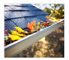 Image for Fresh Cleaning - Window Cleaning in Sydney with ID of: 1951805