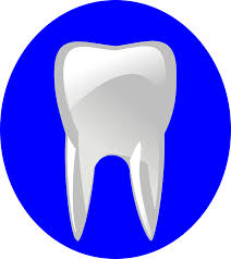 Image for Oana Mierloi DDS PA with ID of: 1952595