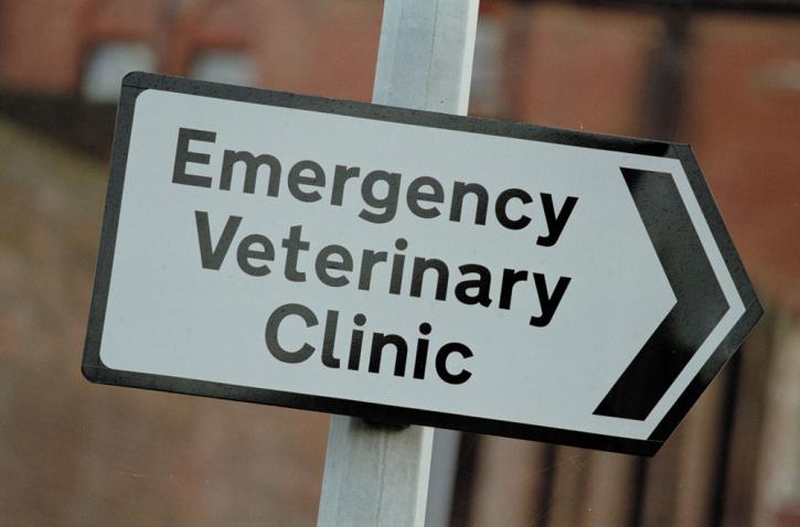 Image for First Coast Veterinary Emergency with ID of: 1954007