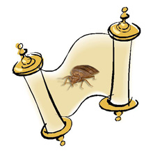 Image for Bed Bugs Exterminator Crew with ID of: 1954084