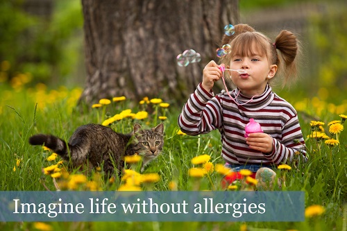 Image for Allergy and Asthma Center with ID of: 1954601