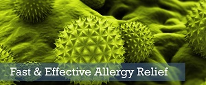 Image for Allergy and Asthma Center with ID of: 1954603