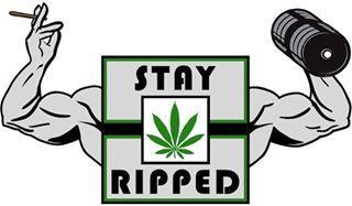 Image for Stay Ripped with ID of: 1955409