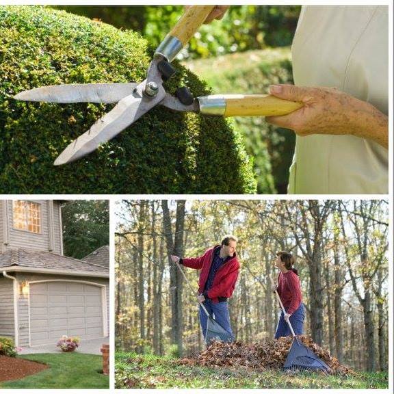 Image for El Paraiso Landscaping with ID of: 1961592
