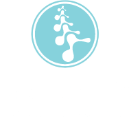 Image for Back To Life Chiropractic Centre with ID of: 1963274