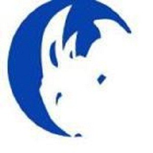 Image for Rhino Moving LLC with ID of: 1963703