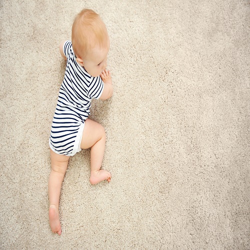 Image for Carpet Cleaning of Monroe with ID of: 1964444