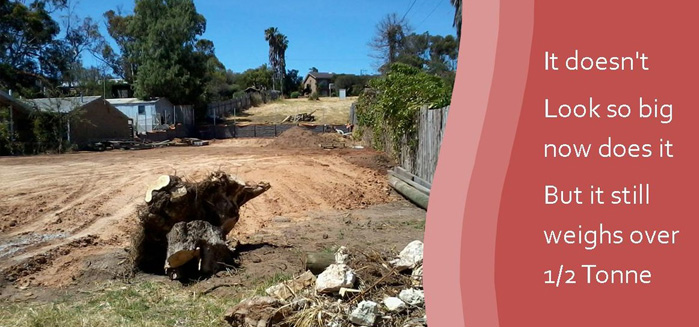 Image for Chip & Block Earthmoving with ID of: 1965000