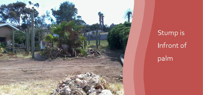 Image for Chip & Block Earthmoving with ID of: 1965012