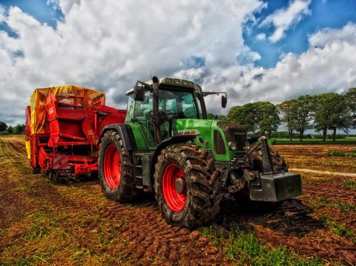 Image for Chip & Block Earthmoving with ID of: 1965019