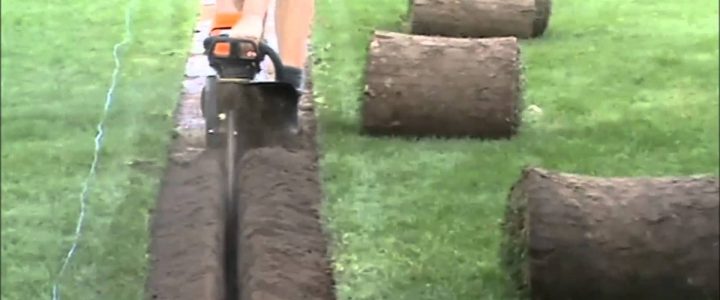 Image for Chip & Block Earthmoving with ID of: 1965021