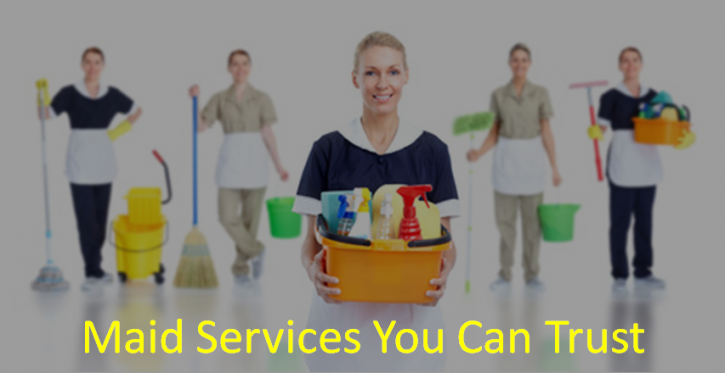 Image for Clean Troop LLC with ID of: 1965142