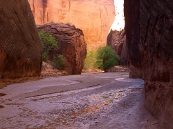 Image for Grand Staircase Discovery Tours with ID of: 1965740