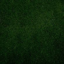 Image for CustomWise Turf & Tree with ID of: 1967662