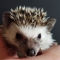 Image for Grant Family Exotics with ID of: 1970277