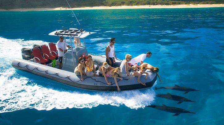 Image for Kauai Tours with ID of: 1970769