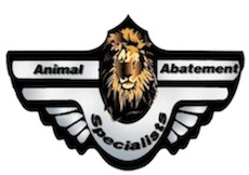 Image for wildlife removal specialist with ID of: 1973190