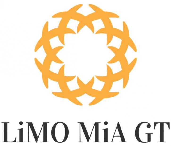 Image for Limo Mia Ground Transportation with ID of: 1974562