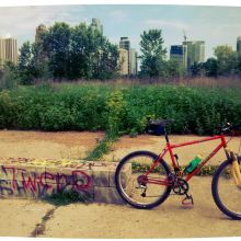 Image for Boulevard Bikes with ID of: 1974783