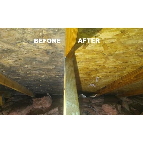 Image for Smart: Mold & Mildew with ID of: 1976200