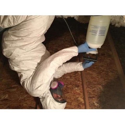 Image for Smart: Mold & Mildew with ID of: 1976202