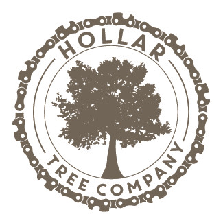 Image for Hollar Tree Company with ID of: 1978590