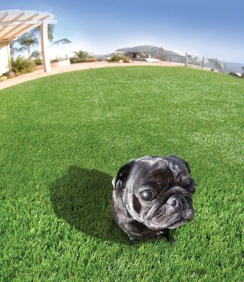 Image for Atlanta Artificial Grass with ID of: 1979448
