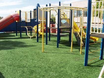 Image for Atlanta Artificial Grass with ID of: 1979452