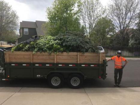 Image for Hollar Tree Company with ID of: 1980040