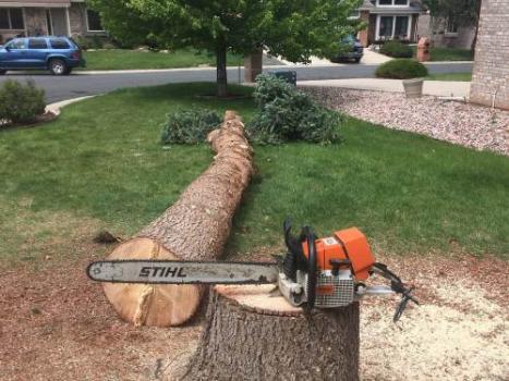Image for Hollar Tree Company with ID of: 1980041