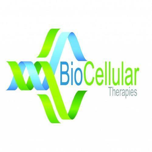 Image for Stem Cell Therapy in Florida for Regeneration with ID of: 1980647