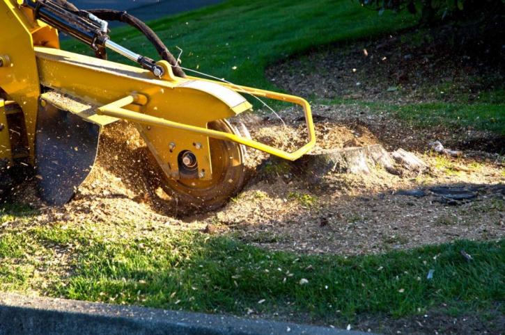 Image for Apple Valley Tree Service with ID of: 1980801