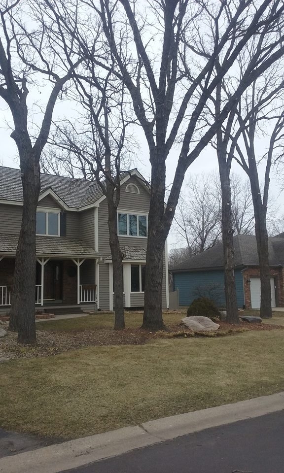 Image for Apple Valley Tree Service with ID of: 1980804