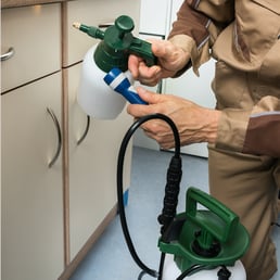 Image for Ryon Pest Solutions with ID of: 1980934