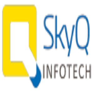 Image for Skyq Infotech with ID of: 1981525