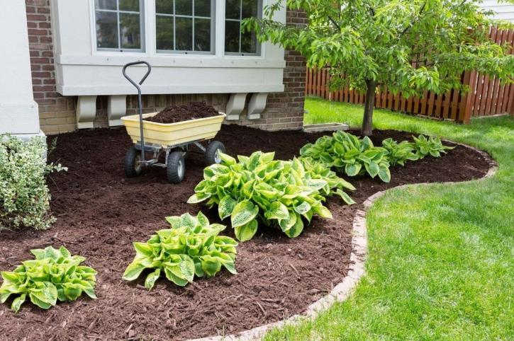 Image for MJ's Lawn Care with ID of: 1981593