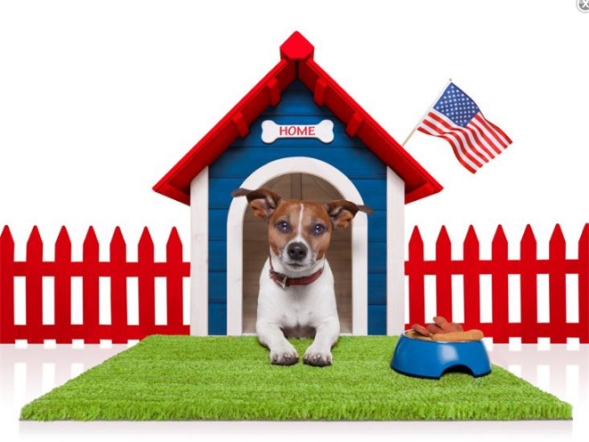Image for Paw Keepers Pet Sitting Service with ID of: 1982367