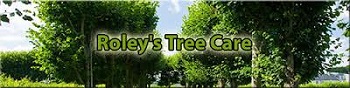 Image for Roley's Tree Care Service Riverside Landscaping with ID of: 1982831