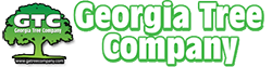 Image for Georgia Tree Company with ID of: 1982959