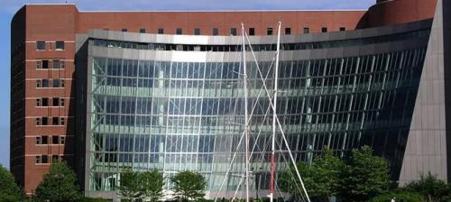 Image for The Lev Law Firm with ID of: 1983698
